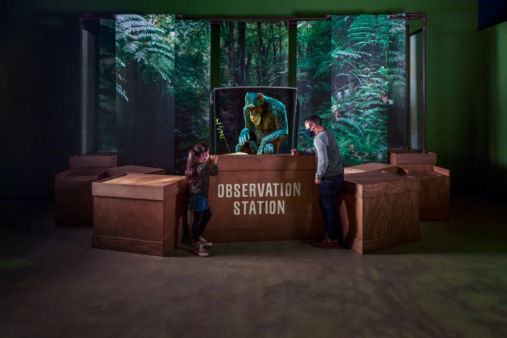 Observation Station from "Becoming Jane" at the Natural HIstory Museum